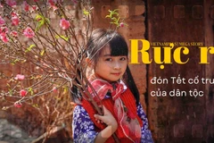 Rực rỡ đón Tết cổ truyền của dân tộc