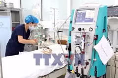 Cứu sống bé trai 15 tháng tuổi bị ong vò vẽ đốt nguy kịch