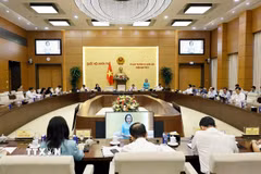 Quang cảnh phiên họp. (Ảnh: Doãn Tấn/TTXVN)
