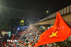 Hình ảnh người dân khắp cả nước "đi bão" sau chiến thắng của Đội tuyển Việt Nam