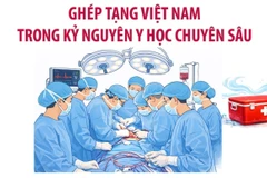 Ghép tạng Việt Nam trong kỷ nguyên y học chuyên sâu