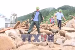 Xây dựng khu tái định cư khẩn cấp cho người dân vùng lũ Lai Châu