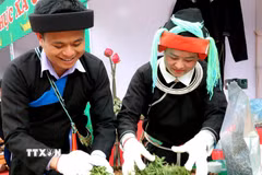 Người dân xã Cao Bồ phơi, sấy và sao chè Shan tuyết, góp phần nâng cao chất lượng và giá trị sản phẩm. (Ảnh: Đức Thọ/TTXVN)