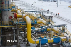 Điểm xuất phát của hệ thống đường ống dẫn khí đốt tự nhiên Nord Stream 2 ở Ust-Luga, Nga. (Nguồn: Bloomberg/TTXVN)