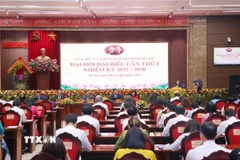 Đại hội đại biểu Đảng bộ các cơ quan Đảng thành phố Hà Nội lần thứ nhất, nhiệm kỳ 2025-2030. (Ảnh: Văn Điệp/TTXVN)