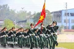 Ảnh minh họa. (Ảnh: Xuân Tư/TTXVN)