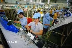 Sản xuất linh kiện điện, điện tử tại Công ty trách nhiệm hữu hạn linh kiện tự động Minda Việt Nam (vốn đầu tư của Ấn Độ) tại Vĩnh Phúc. (Ảnh: Danh Lam/TTXVN)