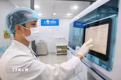 Khoa Xét nghiệm, Bệnh viện Đại học Y Dược Buôn Ma Thuột (tỉnh Đắk Lắk) đã áp dụng quy trình tự động hóa toàn bộ từ đăng ký bệnh nhân, cấp mã đến xử lý mẫu xét nghiệm. (Ảnh: TTXVN phát)