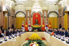 Tổng Bí thư, Chủ tịch nước Tô Lâm hội đàm với Tổng thống Hàn Quốc Lee Jae Myung. (Ảnh: Thống Nhất/TTXVN)