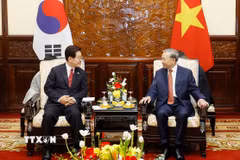 Tổng Bí thư, Chủ tịch nước Tô Lâm và Tổng thống Hàn Quốc Lee Jae Myung gặp hẹp. (Ảnh: Thống Nhất/TTXVN)