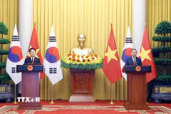 Tổng Bí thư, Chủ tịch nước Tô Lâm và Tổng thống Hàn Quốc Lee Jae Myung chủ trì họp báo chung. (Ảnh: Thống Nhất/TTXVN)