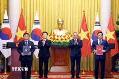 Tổng Bí thư, Chủ tịch nước Tô Lâm và Tổng thống Hàn Quốc Lee Jae Myung chứng kiến lễ trao Bản ghi nhớ về hợp tác trong lĩnh vực hạ tầng điện lực giữa Bộ Công Thương Việt Nam và Bộ Khí hậu, Năng lượng và Môi trường Hàn Quốc. (Ảnh: Thống Nhất/TTXVN)