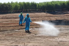 Phun xịt, xử lý dioxin tại sân bay Biên Hòa. (Ảnh: Công Phong/TTXVN)