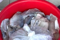 Hà Nội: Xử phạt cơ sở đưa thực phẩm không đảm bảo chất lượng vào trường học