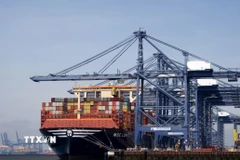 Tàu chở hàng của MSC. (Nguồn: PA/TTXVN)