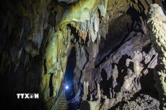 Động Nam Sơn hay còn gọi là động Tớn là một trong những hang động tự nhiên đặc sắc nhất của Khu bảo tồn thiên nhiên Ngọc Sơn - Ngổ Luông, tỉnh Phú Thọ. Nơi đây thu hút giới khoa học và du khách bởi sự nguyên sơ, kỳ bí và giá trị địa chất hình thành. (Ảnh: Trọng Đạt/TTXVN)