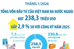 Tháng 1/2026: Đầu tư của Việt Nam ra nước ngoài đạt 238,3 triệu USD