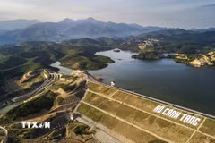 Hồ Cánh Tạng. (Ảnh: Trọng Đạt/TTXVN)
