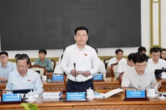 Ông Nguyễn Hồng Diên, Phó Chủ tịch Quốc hội, Trưởng đoàn giám sát phát biểu tại buổi làm việc. (Ảnh: Trung Tuyến/TTXVN)