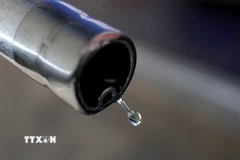 Ảnh minh họa. (Nguồn: THX/TTXVN)