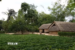 Khu di tích quốc gia đặc biệt Kim Liên, xã Kim Liên, tỉnh Nghệ An đang chuyển mình mạnh mẽ trong xu thế công nghệ. (Ảnh: Bích Huệ/TTXVN)