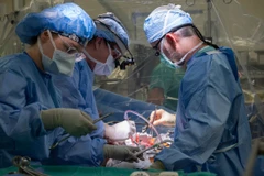 Ảnh minh họa. (Nguồn: Northwestern Medicine)