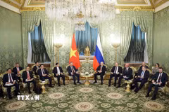 Tổng Bí thư Tô Lâm hội đàm hẹp với Tổng thống Nga Vladimir Putin. (Ảnh: Thống Nhất/TTXVN)