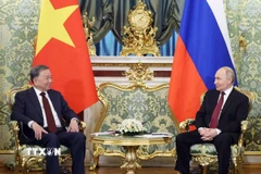 Tổng Bí thư Tô Lâm hội đàm với Tổng thống Nga Vladimir Putin. (Ảnh: Thống Nhất/TTXVN)