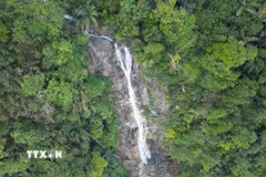 Thác Lụa được bao quanh bởi những cánh rừng nguyên sinh hoang sơ, kỳ vĩ. (Ảnh: Phạm Cường/TTXVN)