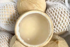 Thành phần của nước dừa chứa 94% là nước, rất ít chất béo và không nên nhầm lẫn với nước cốt dừa, vốn được làm từ cơm dừa nạo thêm nước, chứa nhiều chất béo và ít nước hơn. (Nguồn: Vietnam+)