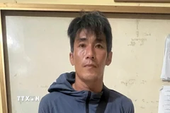 Đối tượng Dương Chí Tình nghi can giết người ở Tuy Phước Tây đã bị bắt. (Ảnh: TTXVN phát)