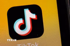 Biểu tượng nền tảng mạng xã hội TikTok. (Ảnh: Kyodo/TTXVN)