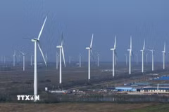 Các turbine gió tại tỉnh Giang Tô, Trung Quốc. (Nguồn: THX/TTXVN)