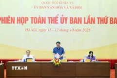 Chủ nhiệm Ủy ban Văn hóa và Xã hội của Quốc hội Nguyễn Đắc Vinh phát biểu. (Ảnh: Phạm Kiên/TTXVN)