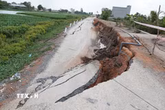 Nhiều vế nứt rất lớn xảy ra tại tuyến đê bao sông Lò Gạch, thuộc xã Vĩnh Hưng, tỉnh Tây Ninh. (Ảnh: Thanh Bình/TTXVN)