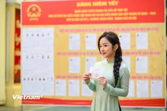 Ảnh minh họa. (Nguồn: Vietnam+)