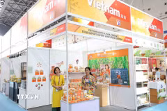 Doanh nghiệp Việt Nam tích cực tham gia các Hội chợ triển lãm tại Trung Quốc, nhằm quảng bá, giới thiệu sản phẩm tại đất nước tỷ dân. (Ảnh: Công Tuyên/TTXVN)