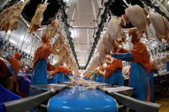 Các quy chuẩn Halal nghiêm ngặt, hệ thống chứng nhận phức tạp là thách thức không nhỏ đối với doanh nghiệp Việt Nam. (Ảnh: Vũ Sinh/TTXVN)