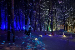 Khung cảnh lễ hội huyền ảo như trong cổ tích giữa vùng núi rừng tuyết trắng. (Ảnh: Xuân Giao/TTXVN)