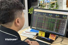 Ảnh minh họa. (Nguồn: Vietnam+)