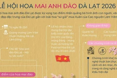 Thông tin về Lễ hội hoa mai anh đào Đà Lạt năm 2026