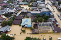 Cảnh ngập lụt sau những trận mưa lớn tại tỉnh Aceh, Indonesia. (Nguồn: THX/TTXVN)