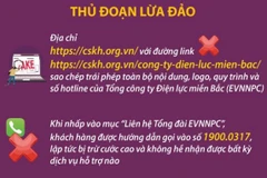 Cảnh báo trang web lừa đảo, giả mạo Tổng công ty Điện lực miền Bắc