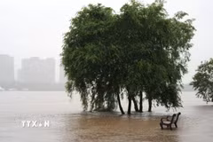 Mực nước sông dâng cao sau những trận mưa lớn tại tỉnh Liêu Ninh, Trung Quốc. (Ảnh: THX/TTXVN phát)