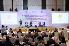 Quảng cảnh phiên khai mạc Diễn đàn Đối thoại cấp cao về quan hệ kinh tế ASEAN-Italy lần thứ 9. (Ảnh: Hữu Duyên/TTXVN)