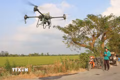 Nông dân An Giang đã mạnh dạn sử dụng drone vào canh tác nông nghiệp ở tất cả các khâu như sa giống, phân xịt thuốc. (Ảnh: Công Mạo/TTXVN)