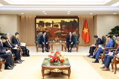 Phó Thủ tướng Hồ Quốc Dũng tiếp Phó Thủ tướng kiêm Bộ trưởng Bộ Khoa học và Công nghệ thông tin Hàn Quốc Bae Kyung Hoon. (Nguồn: Báo Chính phủ)