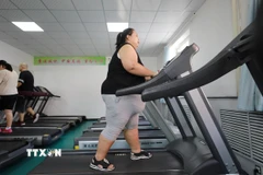 Ảnh minh họa. (Nguồn: AFP/TTXVN)