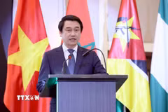 Thứ trưởng Bộ Ngoại giao Lê Anh Tuấn. (Ảnh: An Đăng/TTXVN)