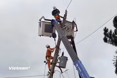 Những công nhân Đội Quản lý điện Đơn Dương miệt mài sửa chữa lưới điện, sớm đưa điện về phục vụ người dân sau trận lũ lịch sử. (Ảnh: PV/Vietnam+)